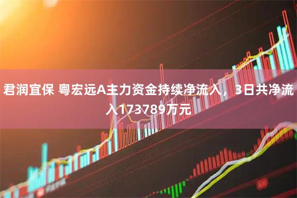 君润宜保 粤宏远A主力资金持续净流入，3日共净流入173789万元
